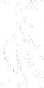 LAVISH WHITE_R3 600x1200.webp