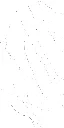LAVISH WHITE_R2 600x1200.webp