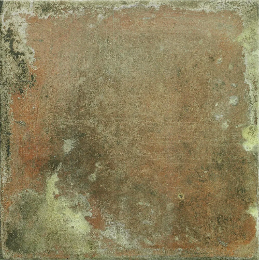 Antigua Terra (1).webp