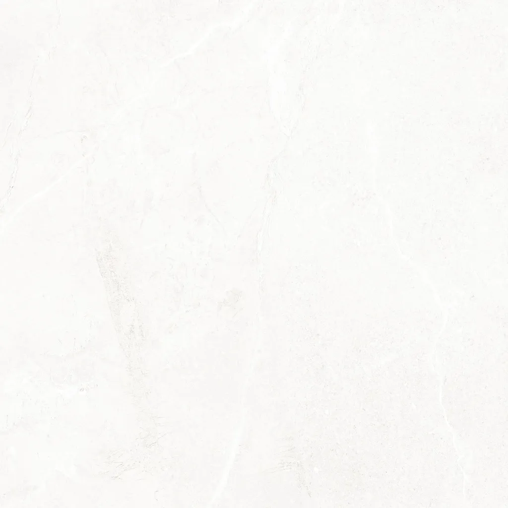261-600x600_01.webp