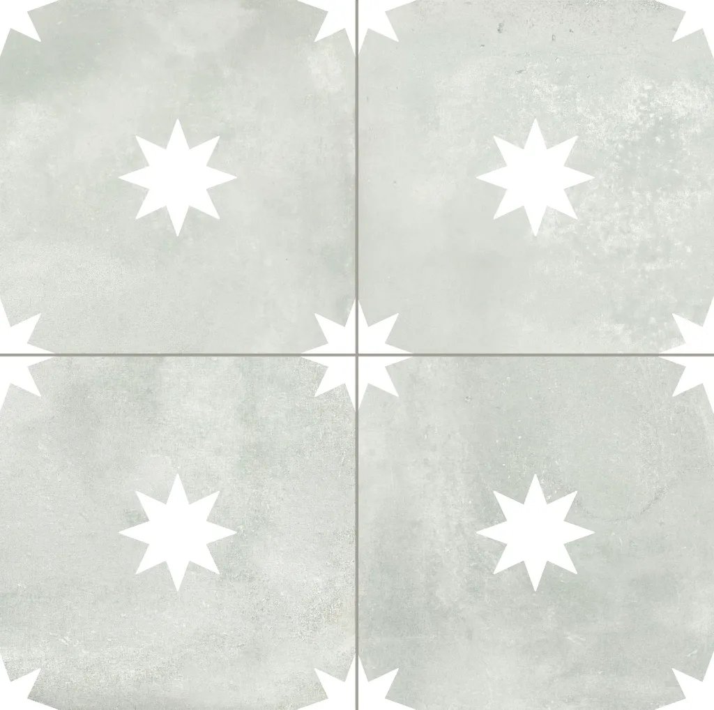Star Sage.webp