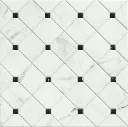 SIENA 44X44.webp