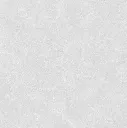 Roma -white-600600-6.webp