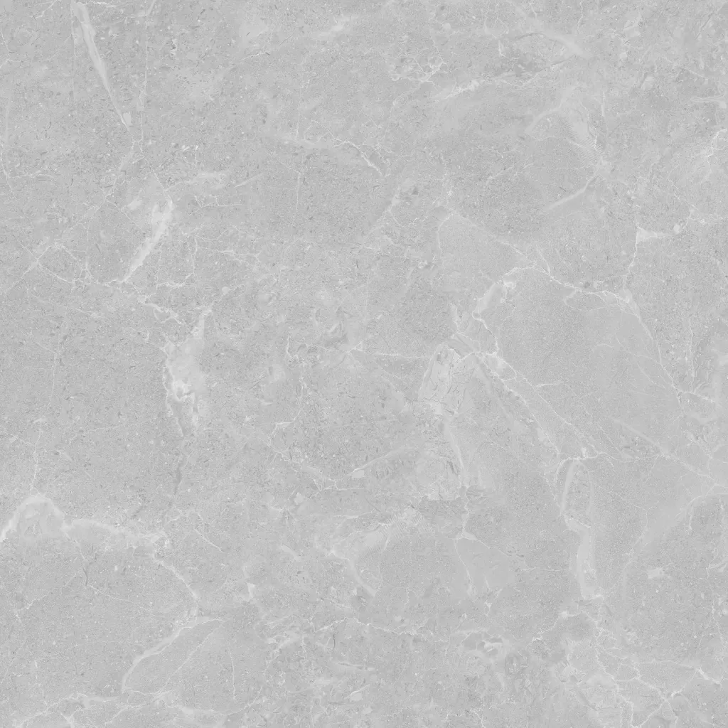Roma -light Grey-600600-3.webp