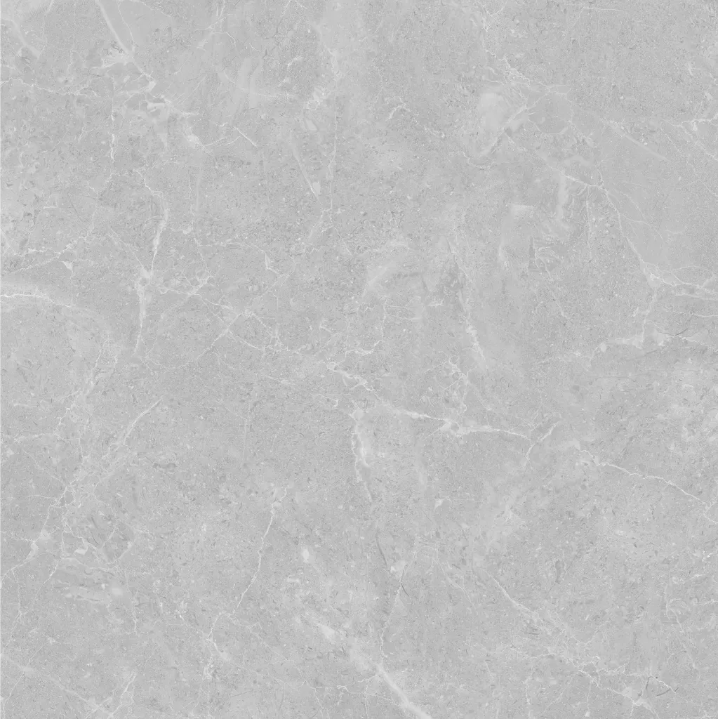 Roma -light Grey-600600-6.webp