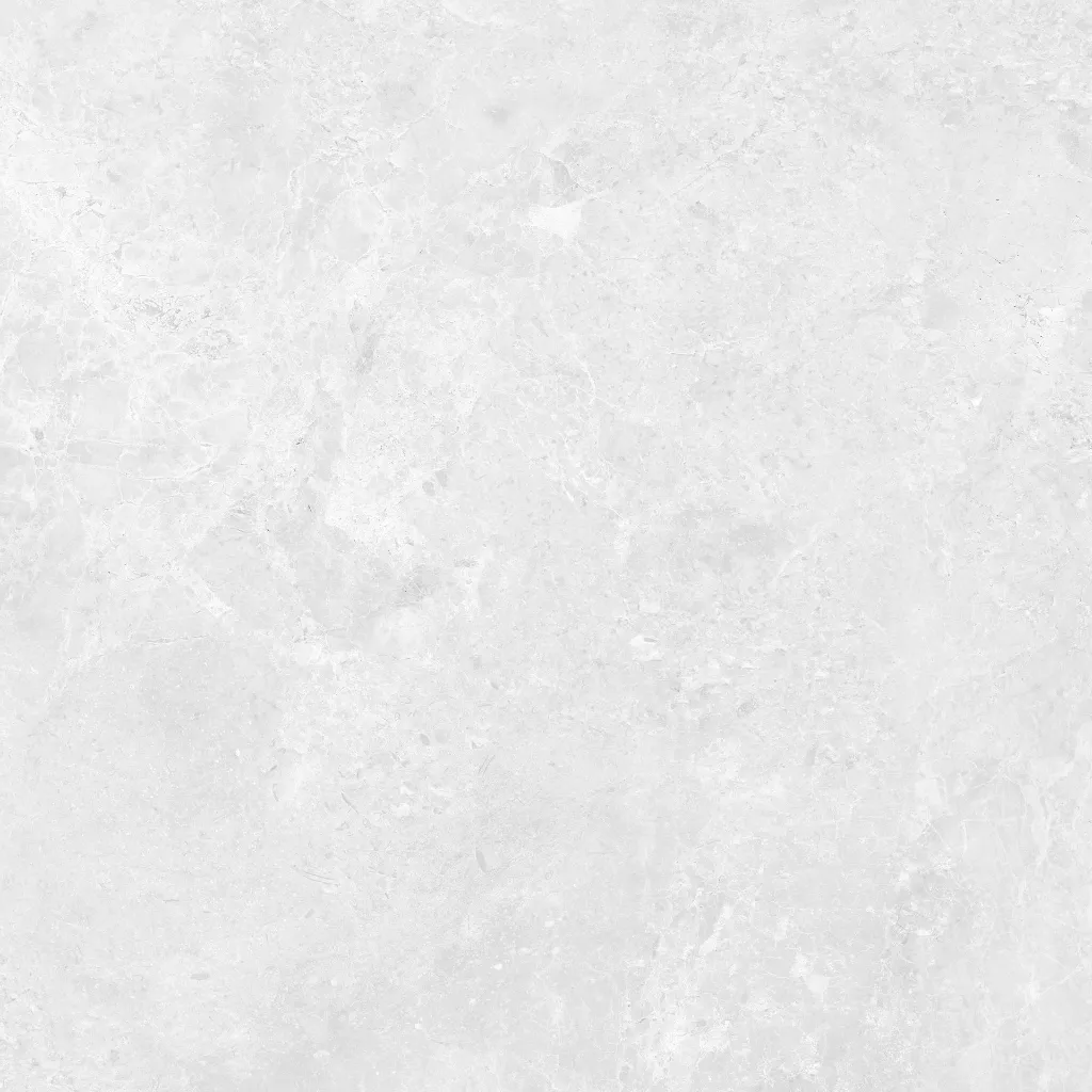 INTUIT--white_01.webp