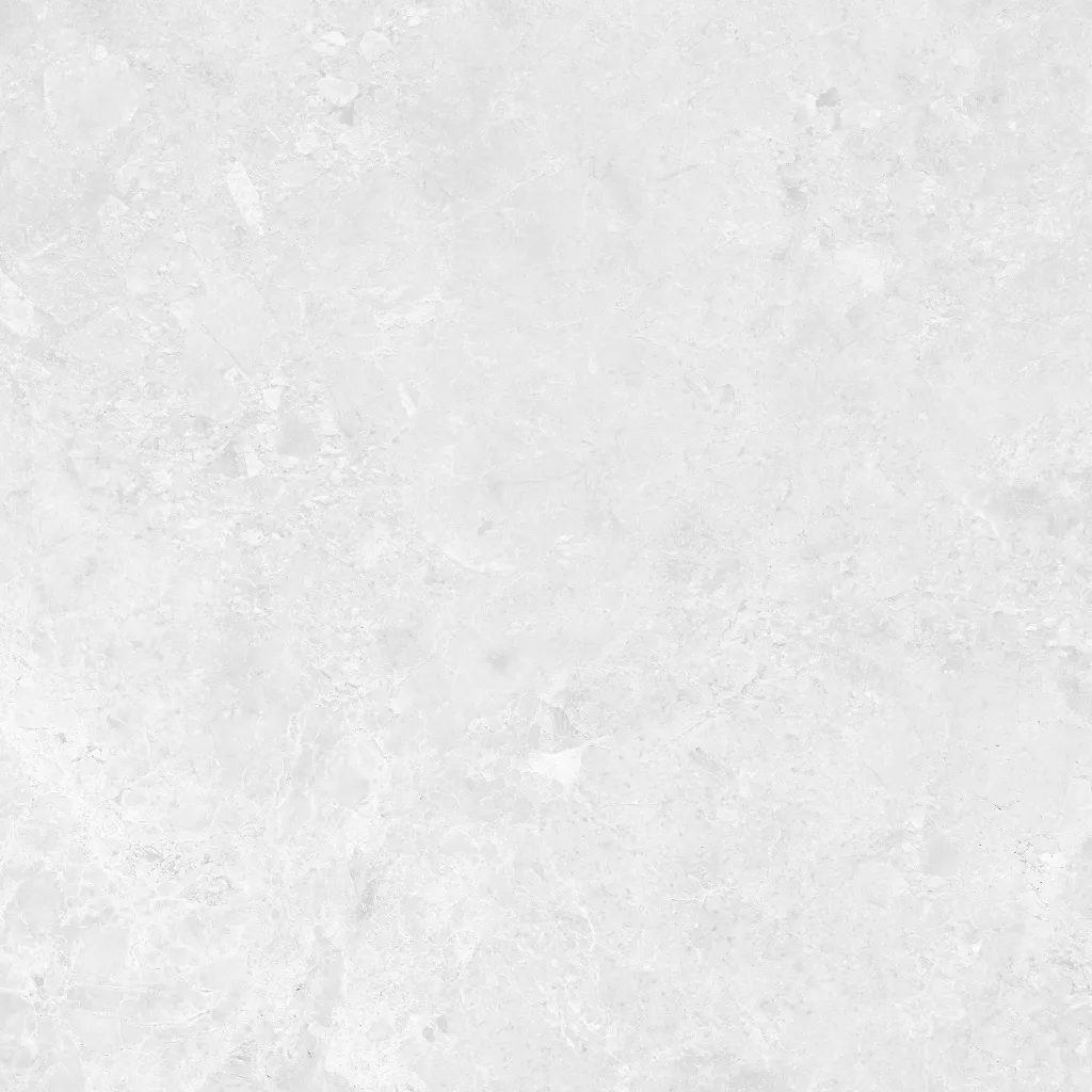 INTUIT--white_05.webp