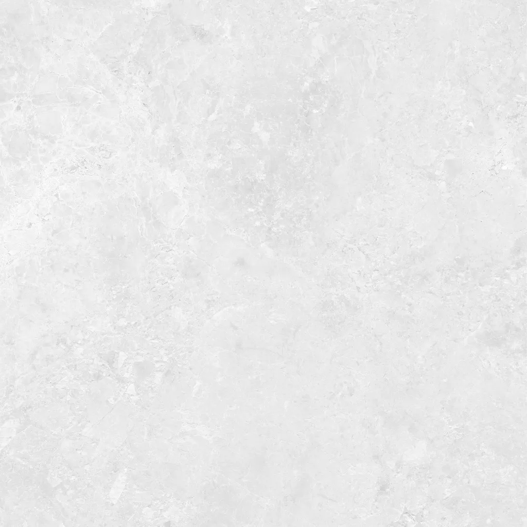 INTUIT--white_08.webp