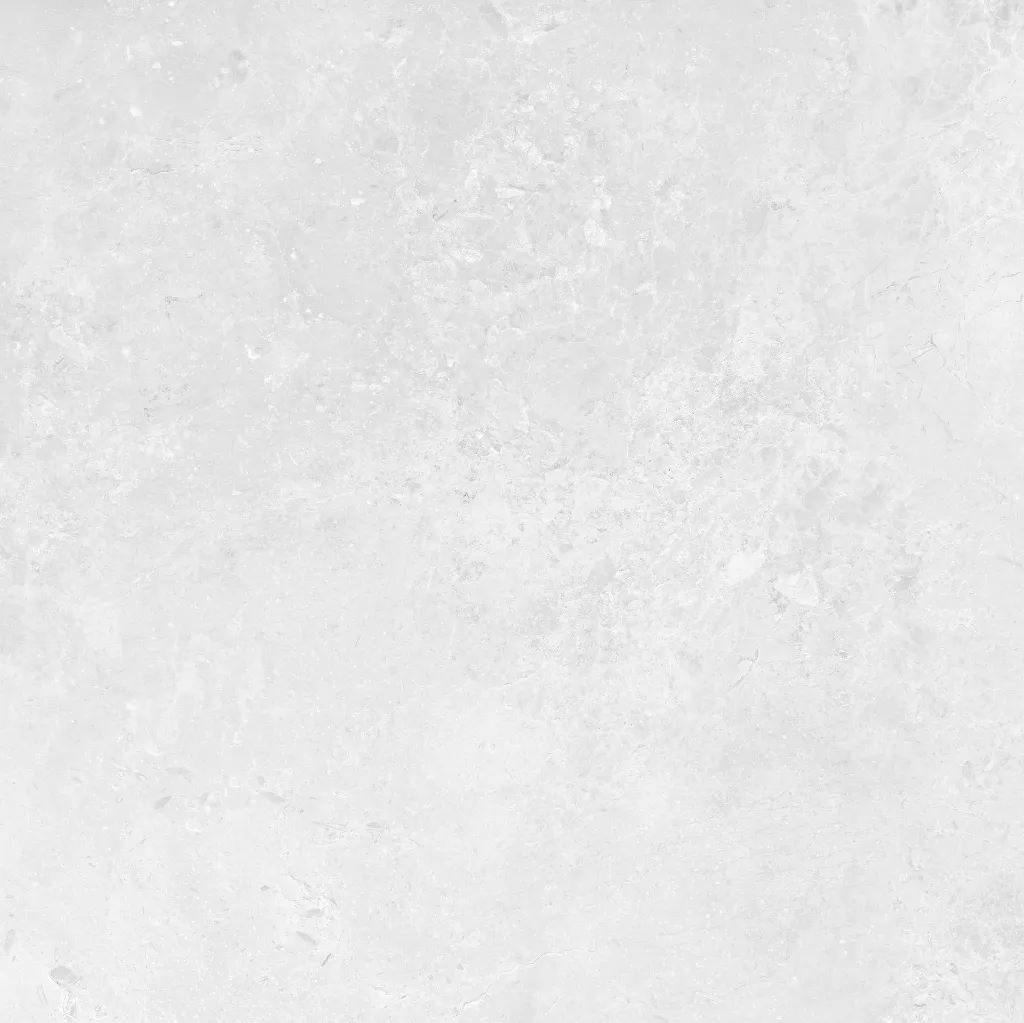 INTUIT--white_06.webp