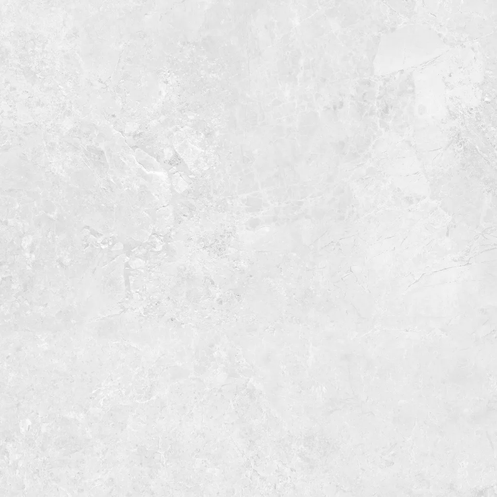 INTUIT--white_11.webp