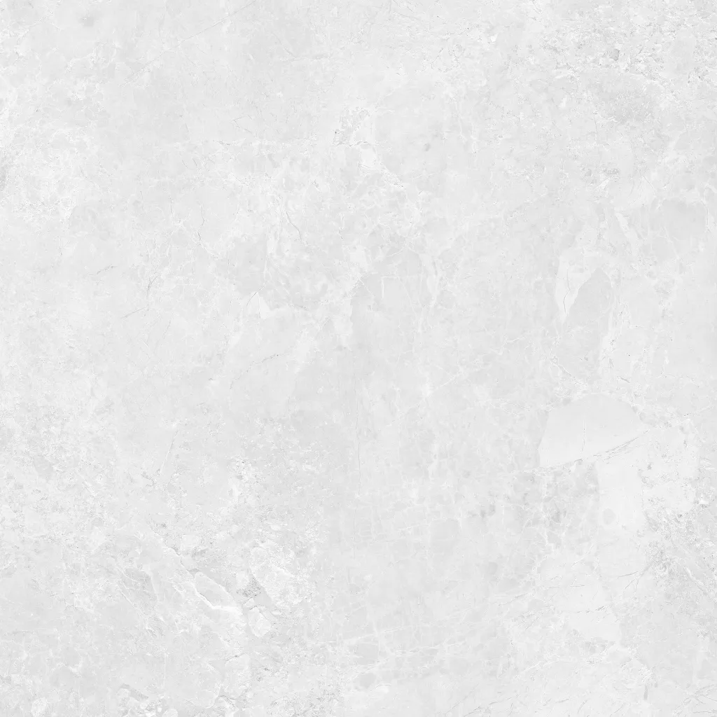 INTUIT--white_03.webp
