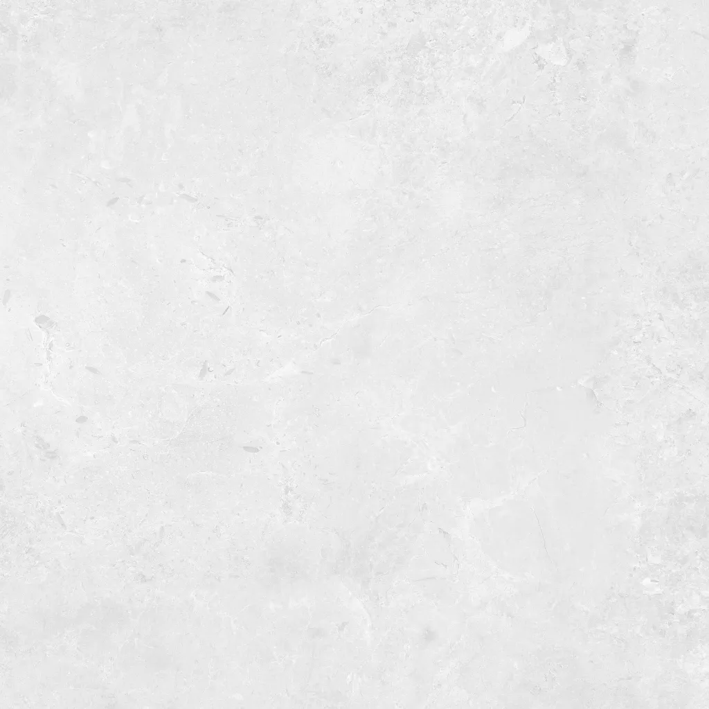 INTUIT--white_02.webp