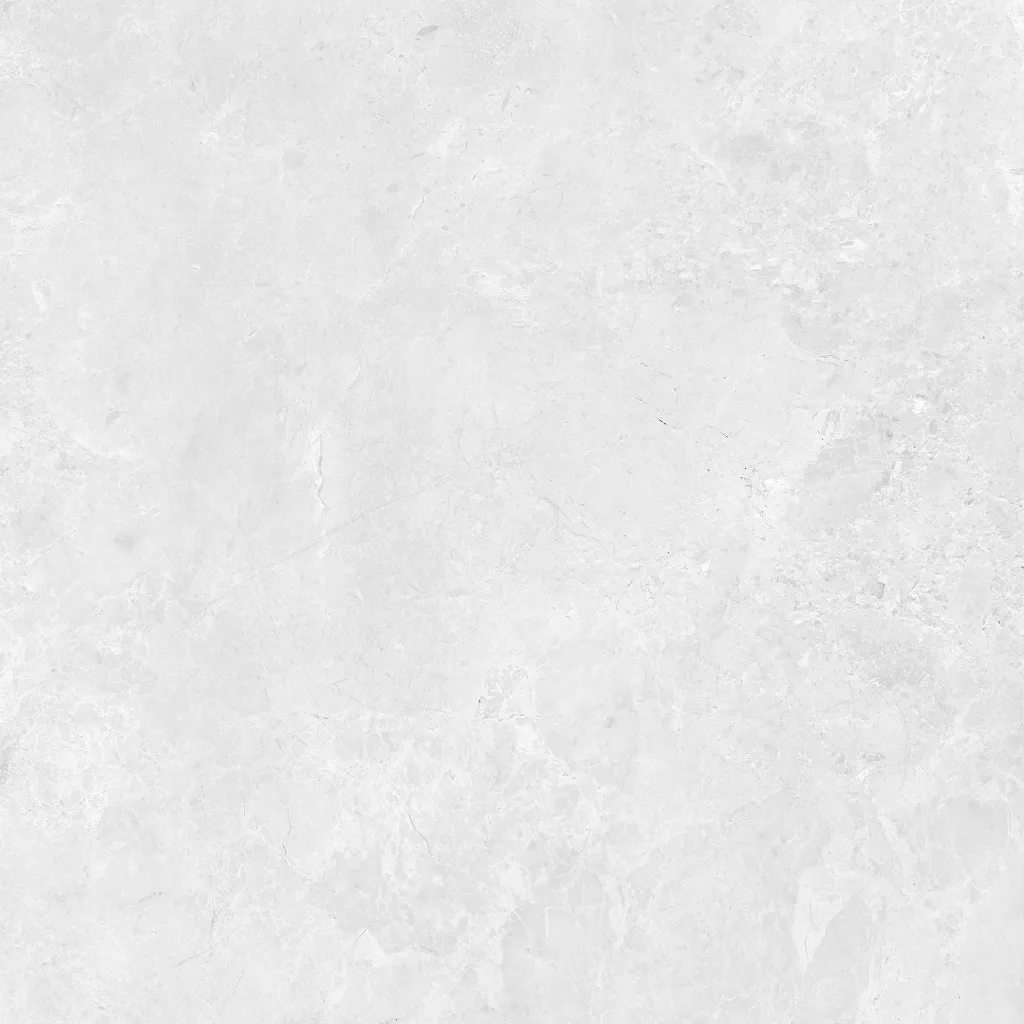 INTUIT--white_07.webp
