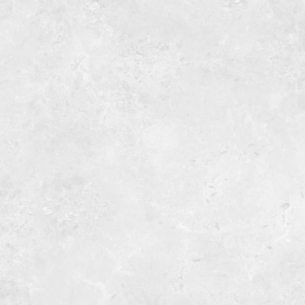 INTUIT--white_12.webp