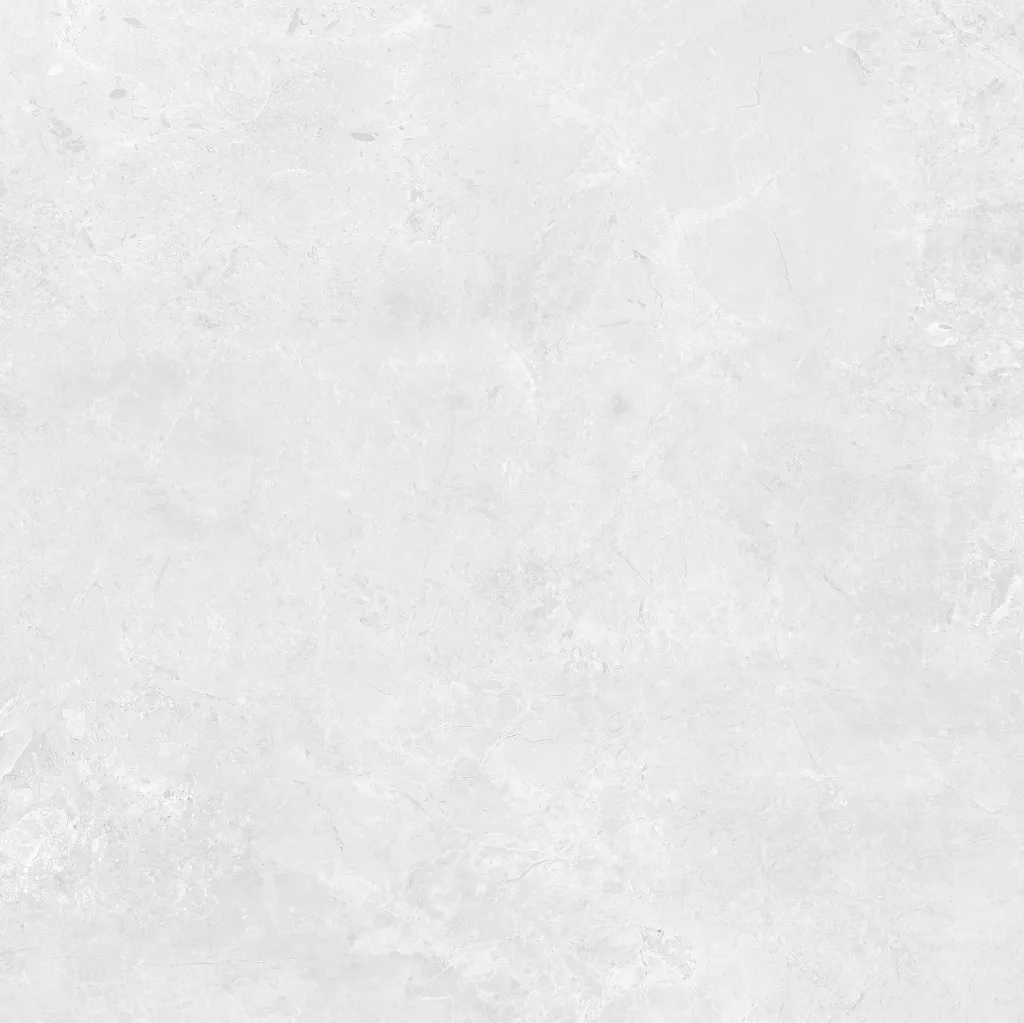 INTUIT--white_10.webp