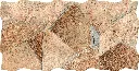 Brisbane Nature (1).webp