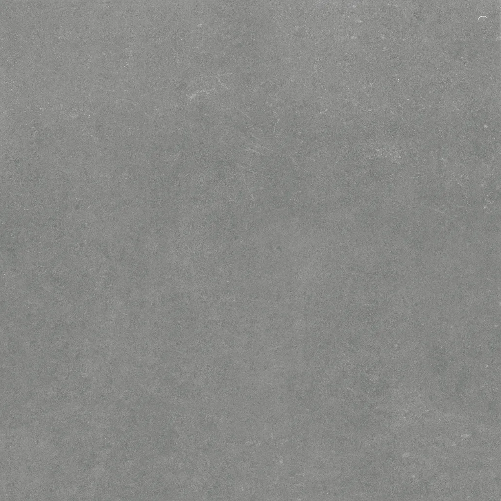 Harbour Coal (4).webp