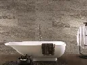 Essence Stone (1).webp