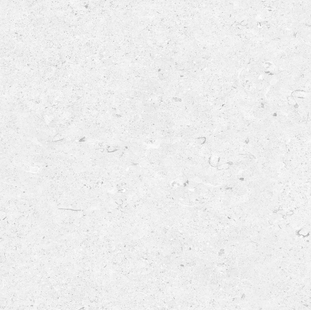 FOSSIL---white_10.webp