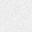 FOSSIL---white_10.webp