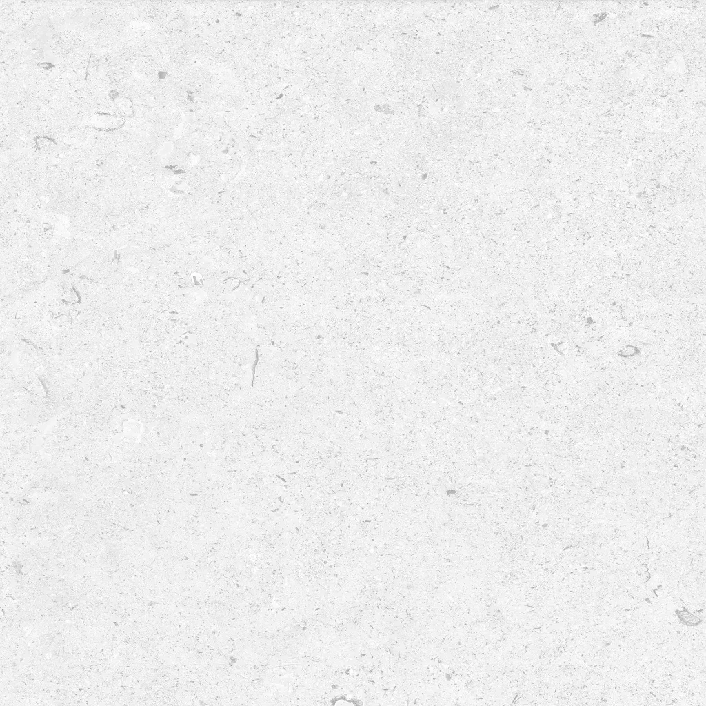 FOSSIL---white_05.webp