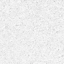 FOSSIL---white_05.webp