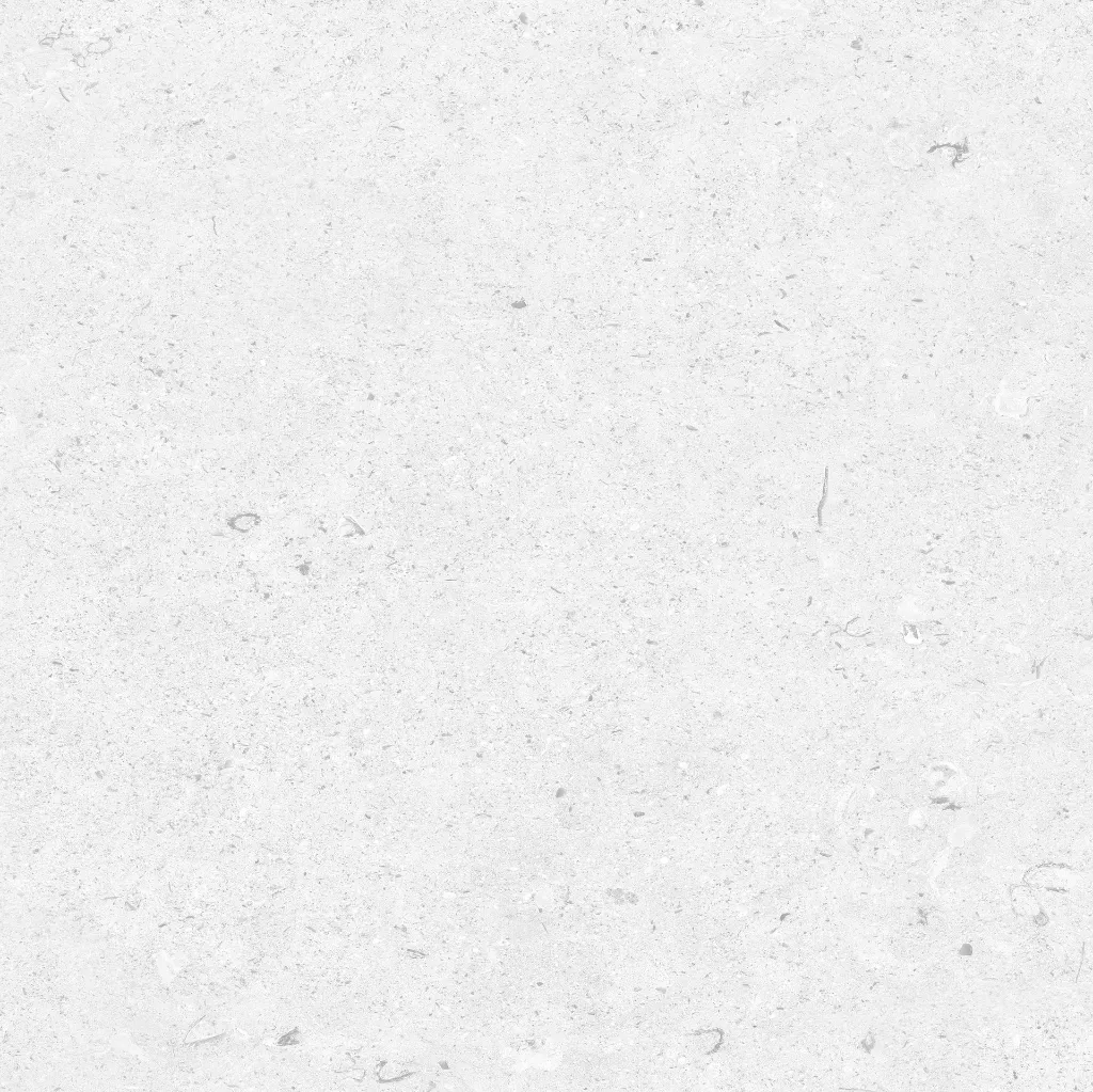 FOSSIL---white_02.webp