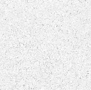 FOSSIL---white_02.webp