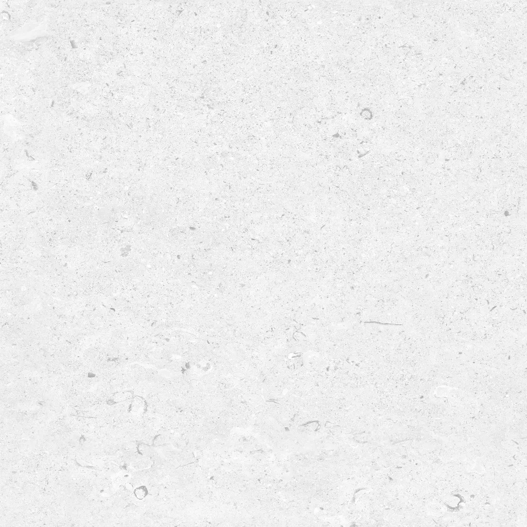 FOSSIL---white_07.webp