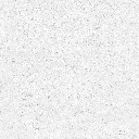 FOSSIL---white_07.webp