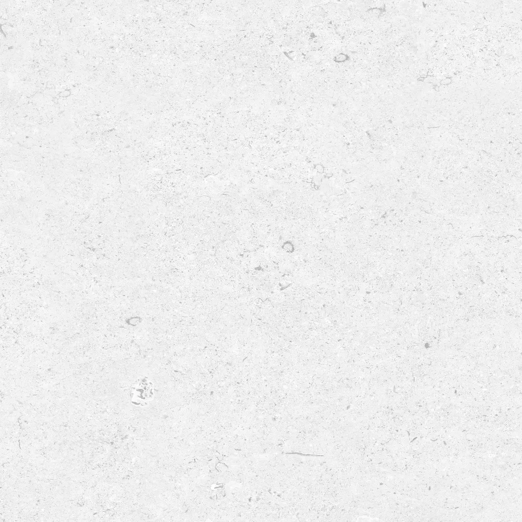 FOSSIL---white_11.webp