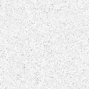 FOSSIL---white_11.webp