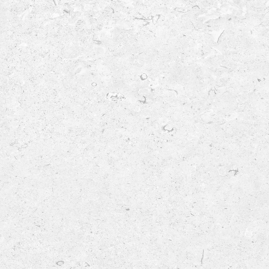 FOSSIL---white_06.webp