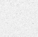 FOSSIL---white_06.webp