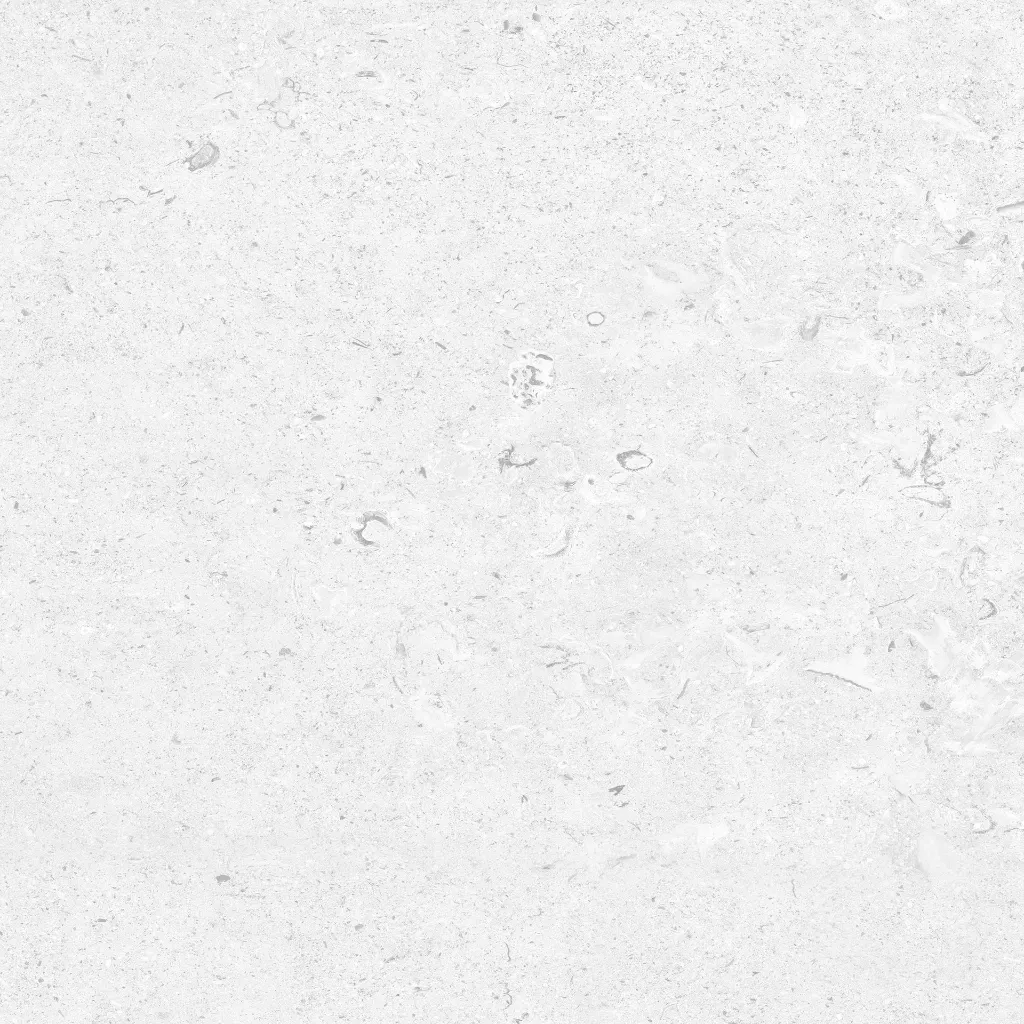 FOSSIL---white_08.webp