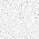 FOSSIL---white_08.webp