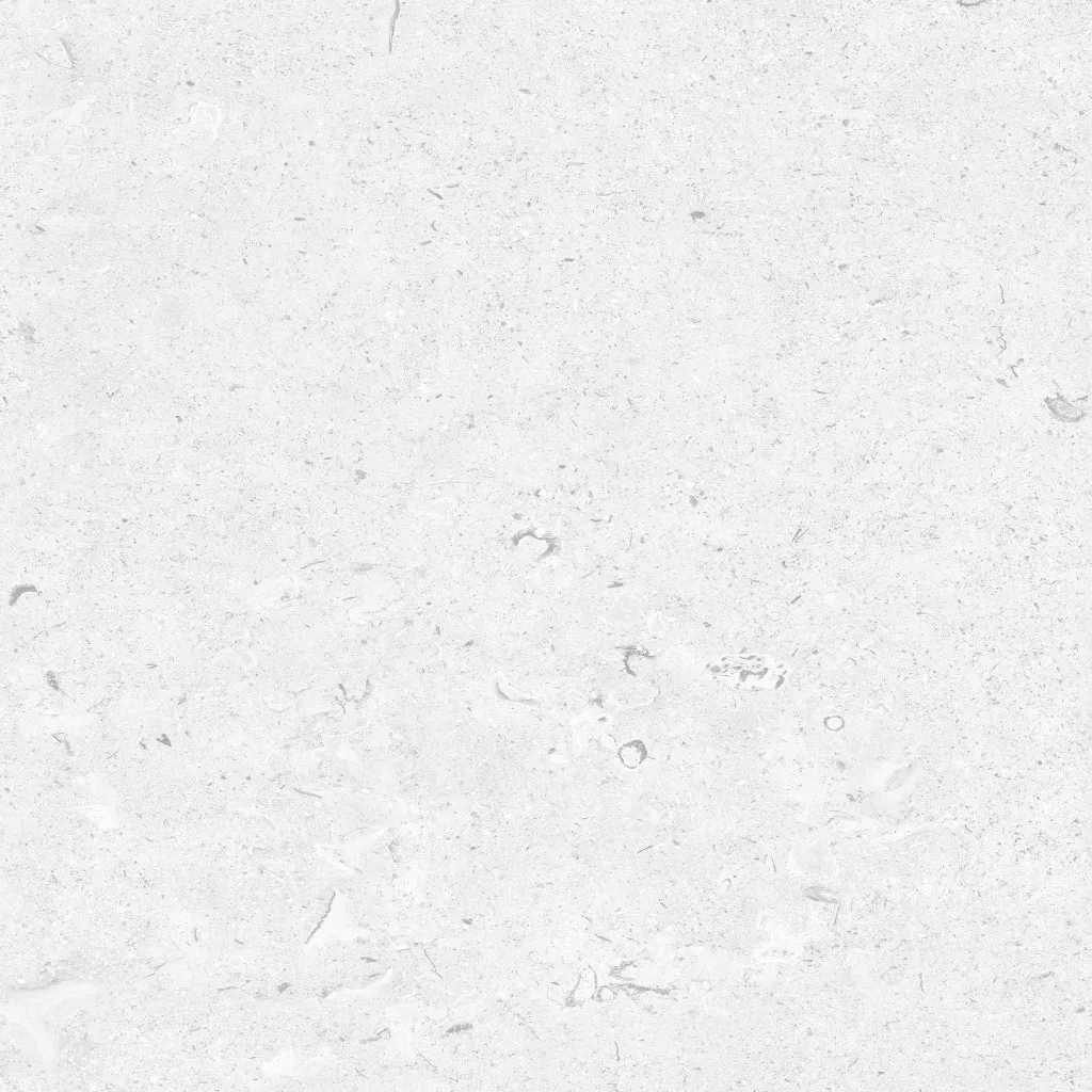 FOSSIL---white_01.webp