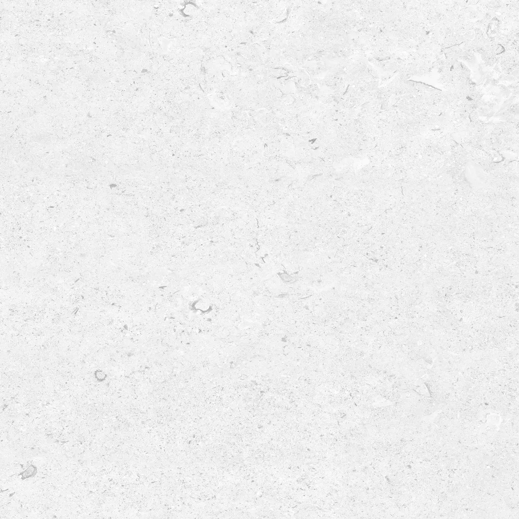 FOSSIL---white_04.webp