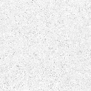 FOSSIL---white_04.webp