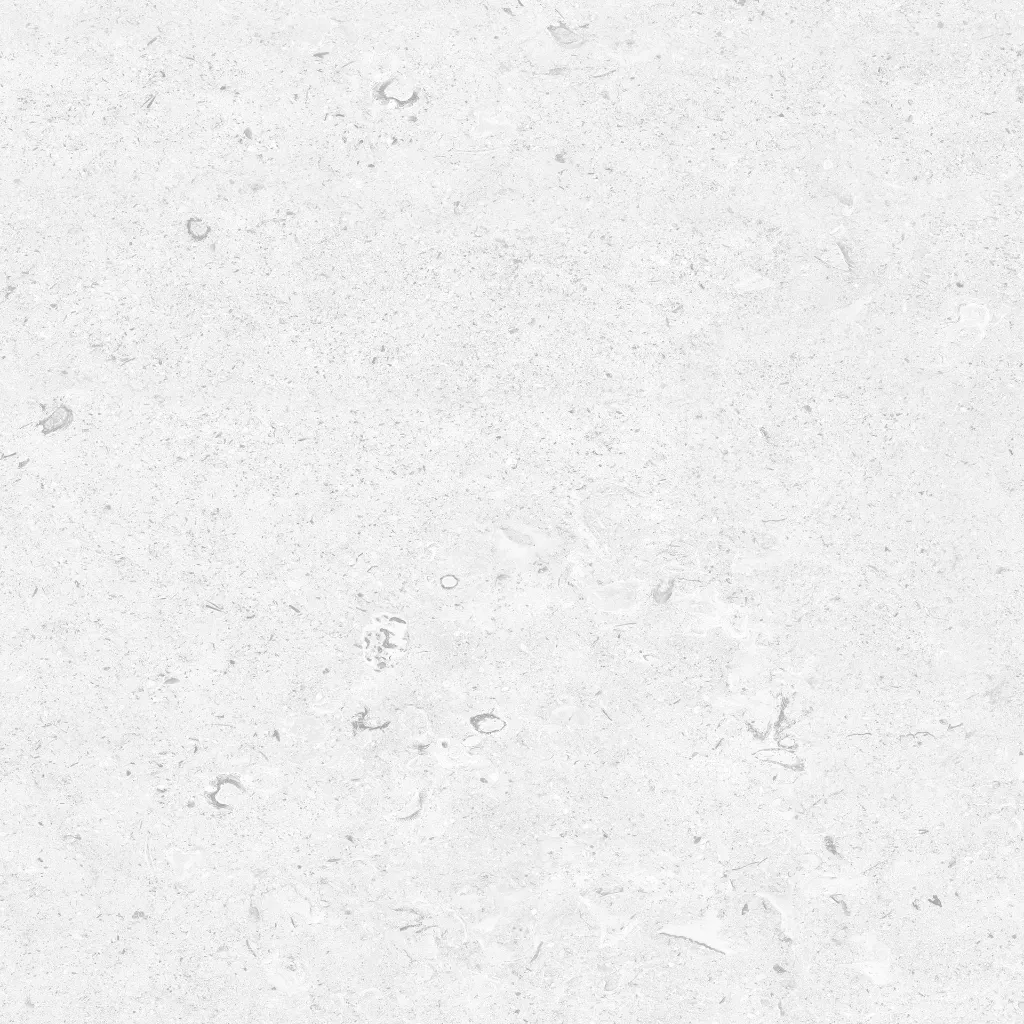 FOSSIL---white_12.webp