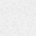 FOSSIL---white_12.webp