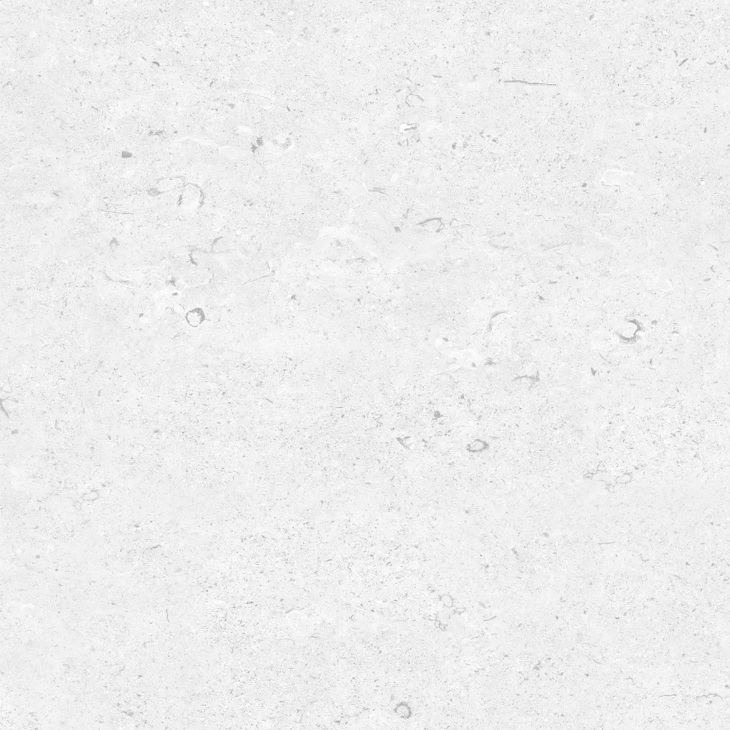 FOSSIL---white_03.webp