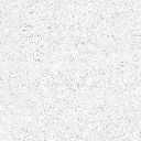 FOSSIL---white_03.webp