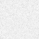 FOSSIL---white_09.webp