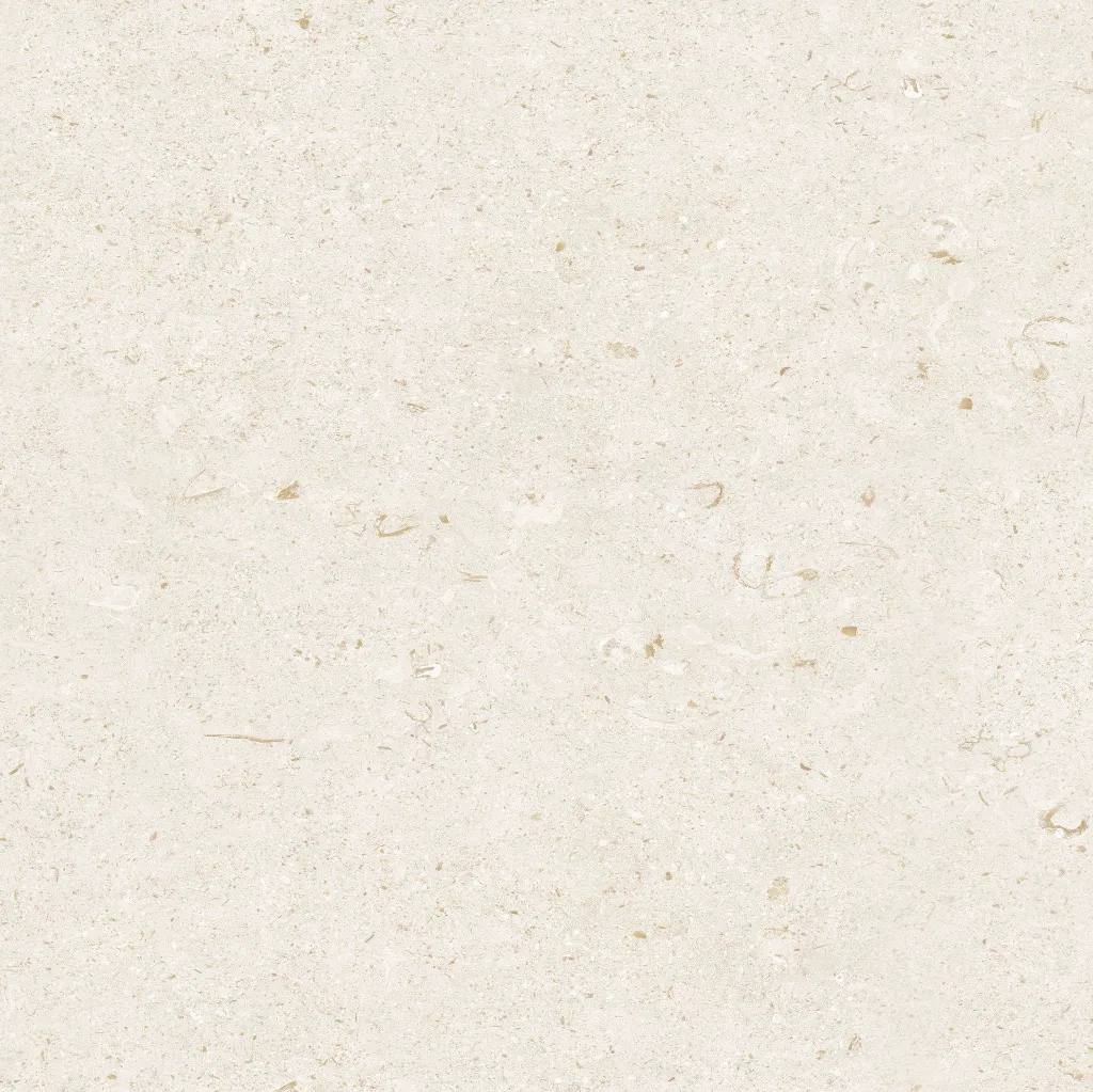 FOSSIL--ivory_10.webp