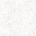 E624660_01.webp
