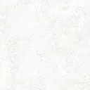 E624660_11.webp