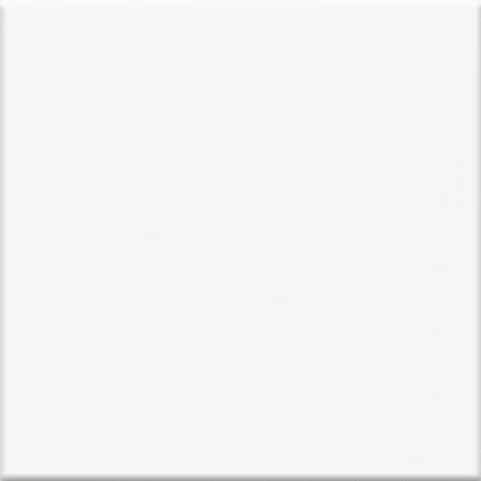 [MWB10201 (NH1206)] White 100x200 Matt