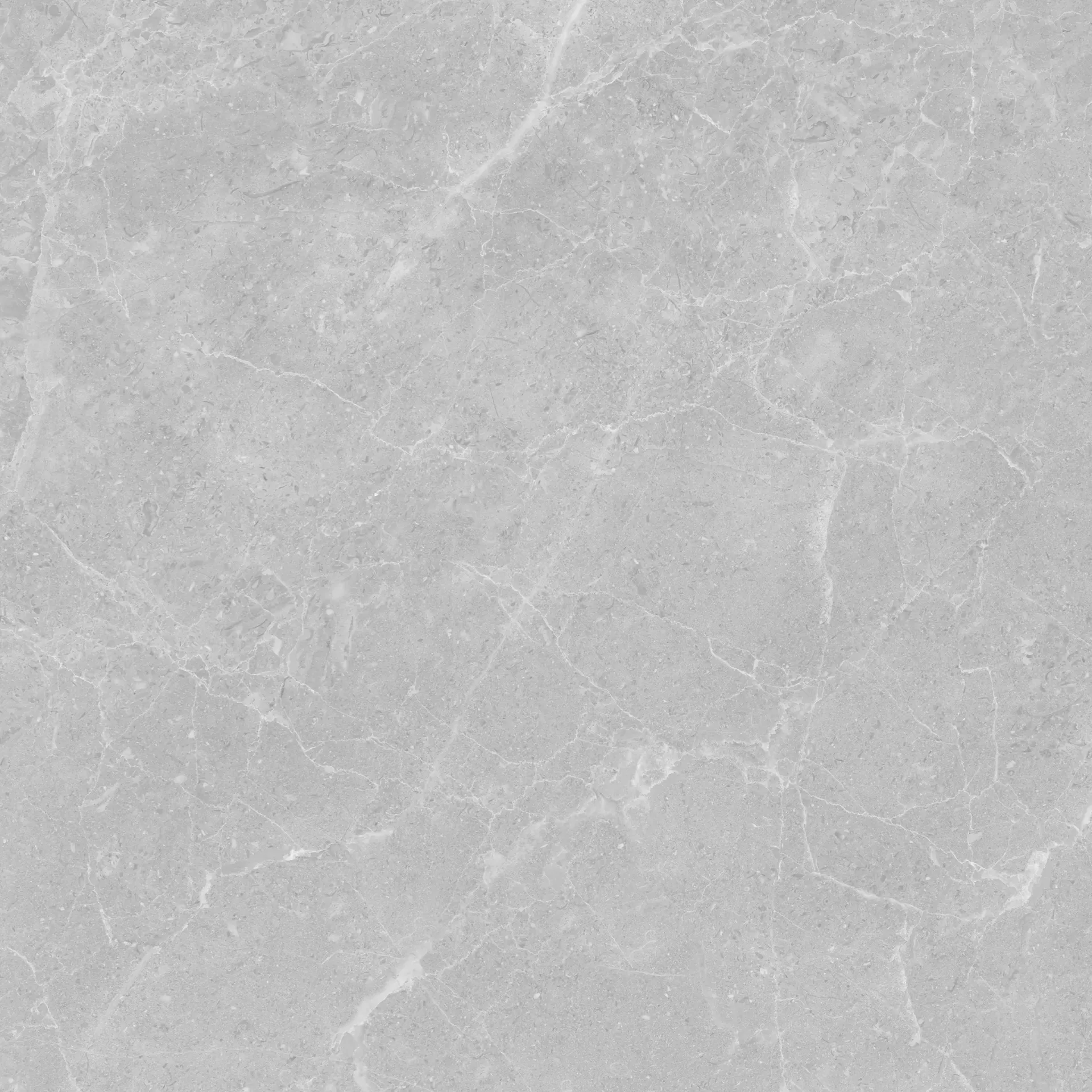 Roma Light Grey 600x600 Matt